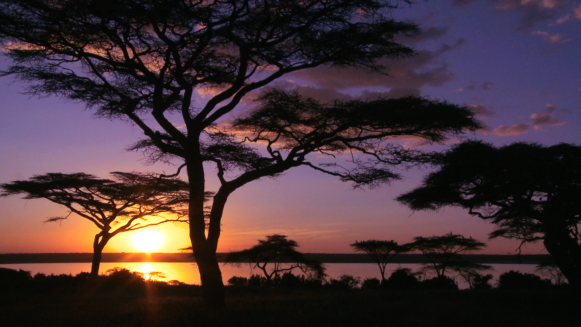 East Africa