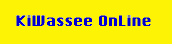 KiWassee OnLine
